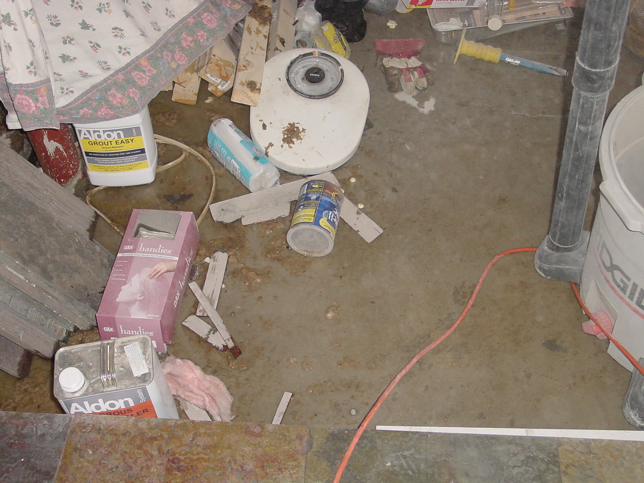 Little septic backup