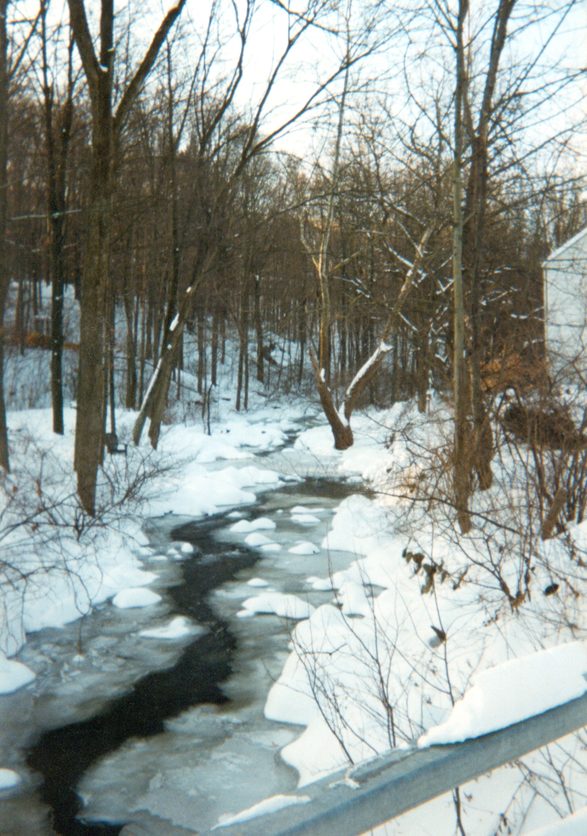 Snow covered stream