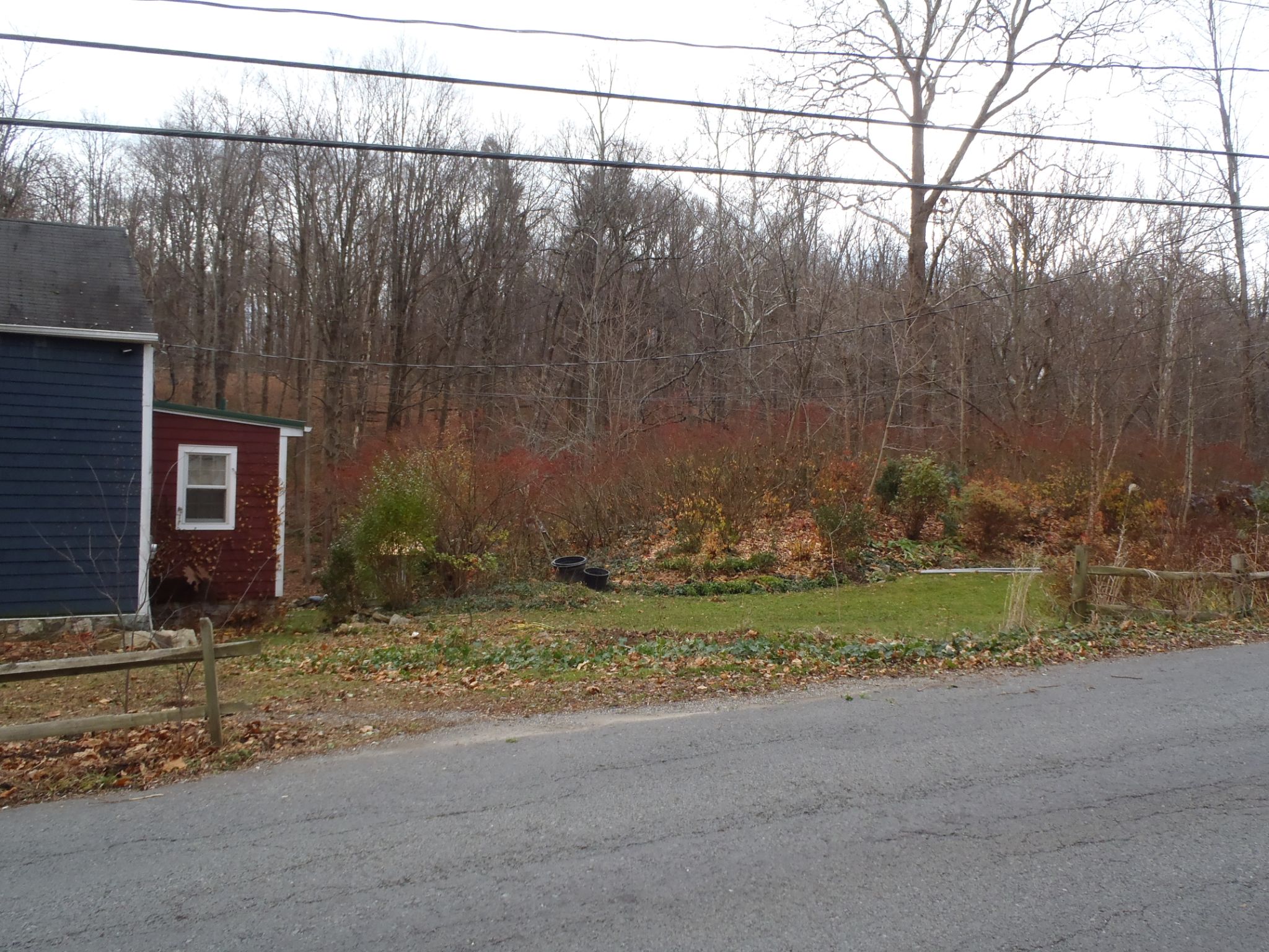 Bushes and red bud and propane tank and fence gone