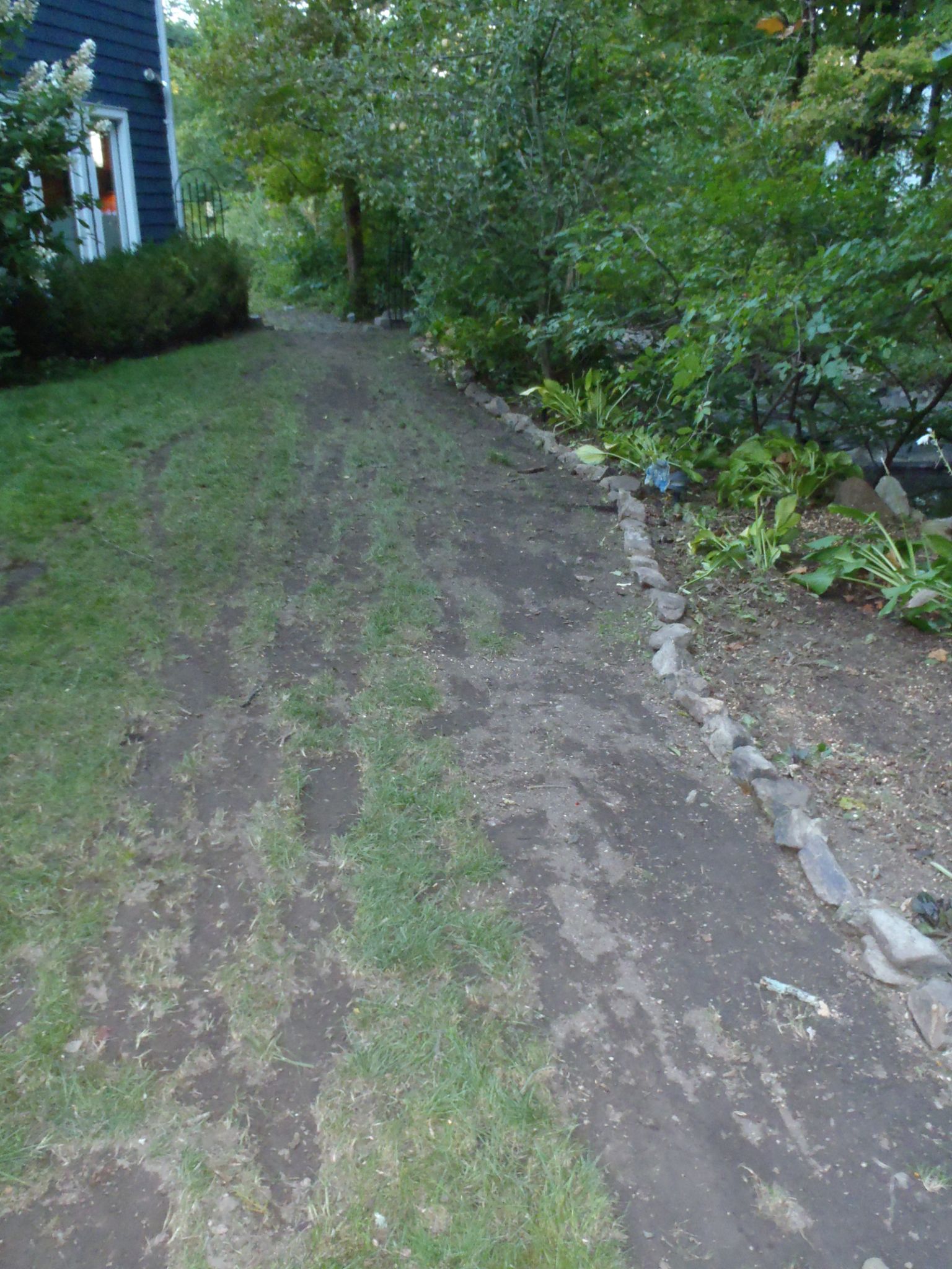 From dragging the tree out