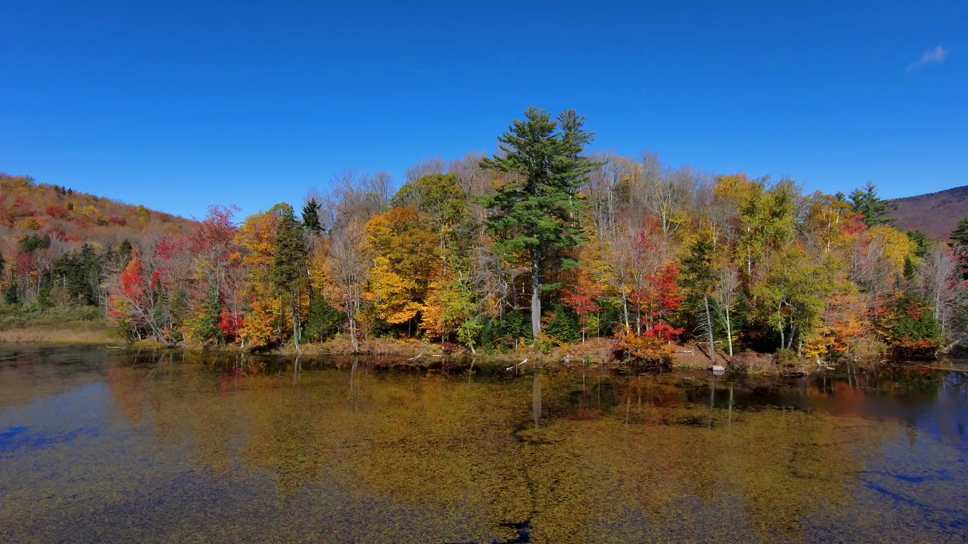 2020 October Vermont