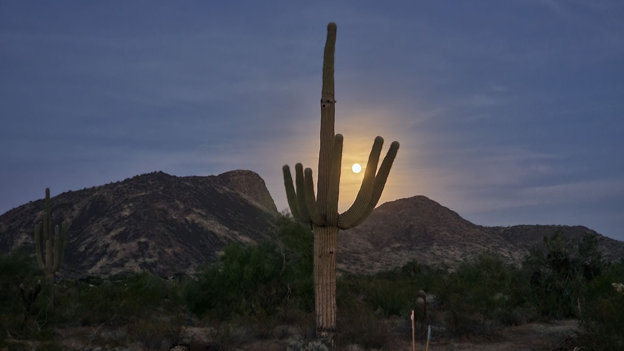 2021 November Arizona